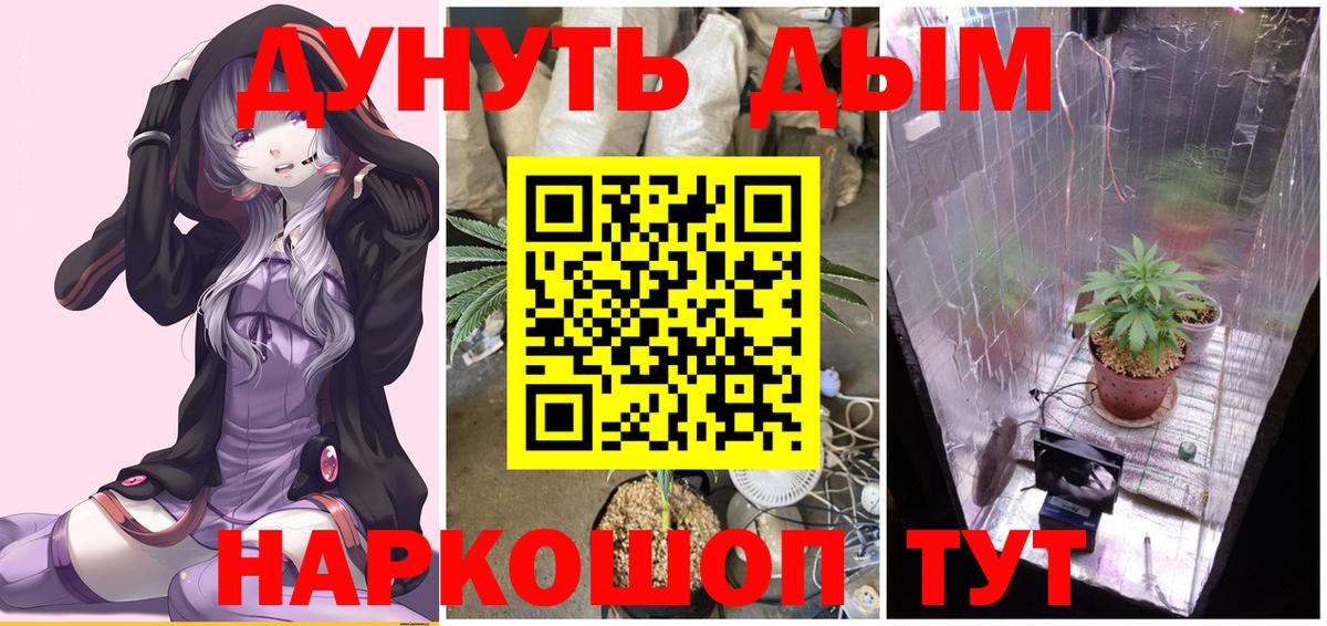 Шахты  Марихуана конопля  Марихуана AK-47  Бошки Шишки индика  Вход с VPN 